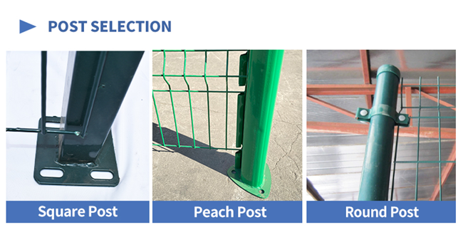 El PVC amistoso de ECO cubrió el alambre Mesh Fence que 3D curvó la cerca soldada con autógena seguridad 1