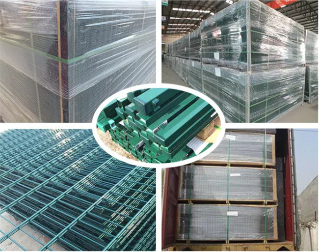 Los deportes molieron la seguridad cubierta Pvc 868/656 de Mesh Fence Wrought Iron High del alambre 3