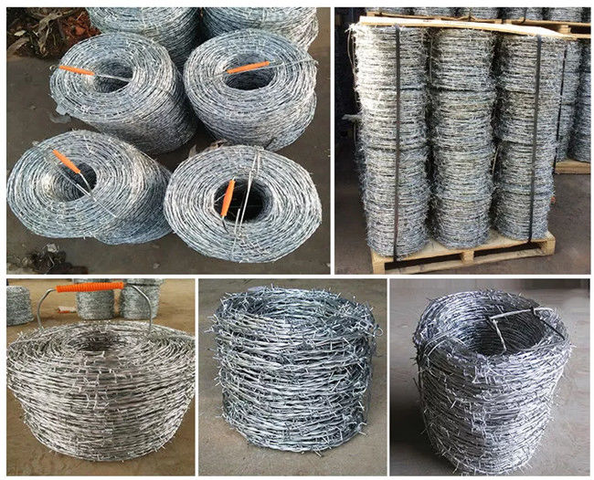 El Pvc verde cubrió el alambre de púas decorativo con 4 puntos 2 de la trenza del filamento 0