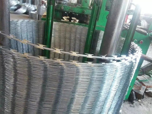 Alambre de púas de navaja galvanizado en caliente Bto-22 Malla de hoja de envoltura plana 0