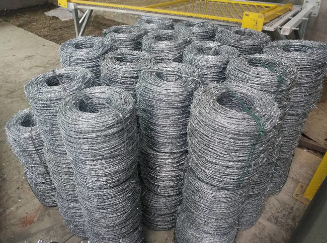 3 puntos Q195 galvanizaron subida anti del alambre de púas 12x12 contra la oxidación 0