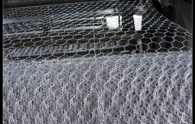 el PVC hexagonal galvanizado los 4ft de la tela metálica de las aves de corral cubrió el alambre de pollo BWG 12 0