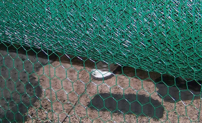 El vinilo cubrió derecho la tela metálica hexagonal de la torsión para el pollo 2