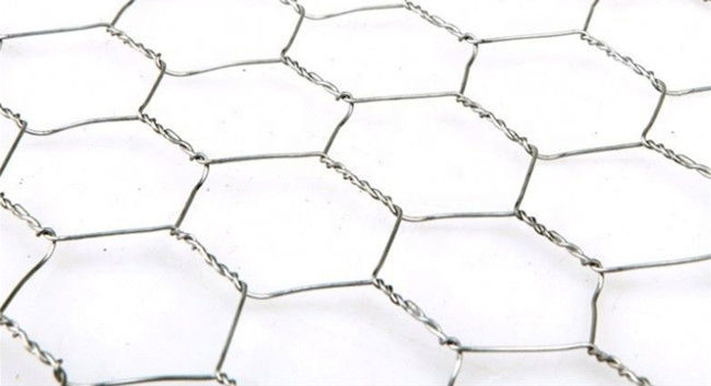 Anchura hexagonal de Mesh Fence Q195 los 0.5m del pollo del HDG para las aves de corral 0
