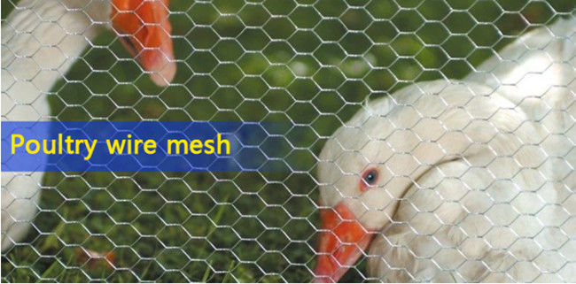 los 3ft×150ft 19 pulgada Mesh Poultry Netting de Yardgard 2 del alambre de pollo del indicador 1