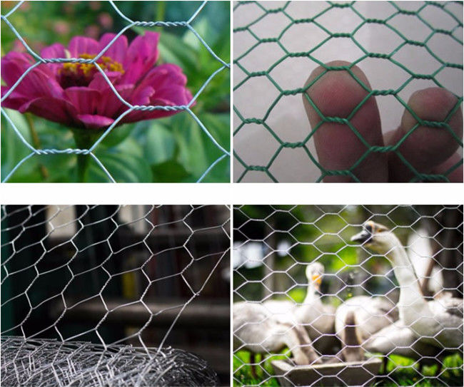 BWG 23 Q195 galvanizó el pollo Mesh Fence 3/8" red del hex. de las aves de corral 1