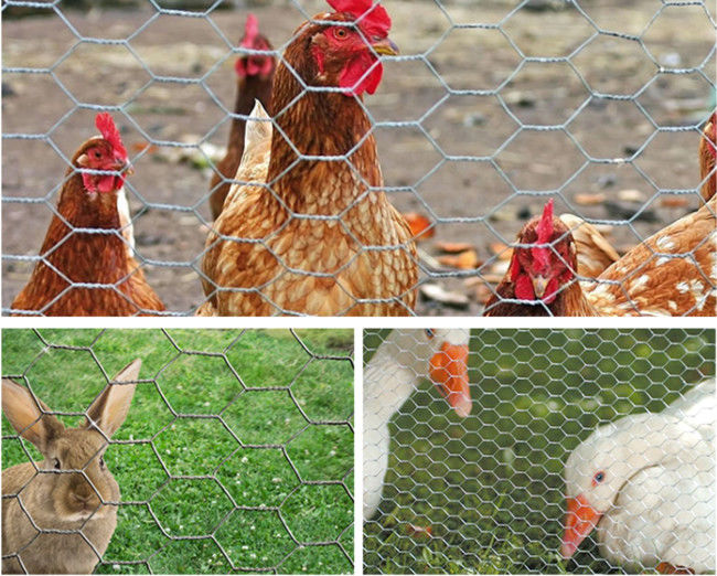 18 red revestida de las aves de corral del vinilo de Mesh Fence 50m del pollo del indicador los 2m 1