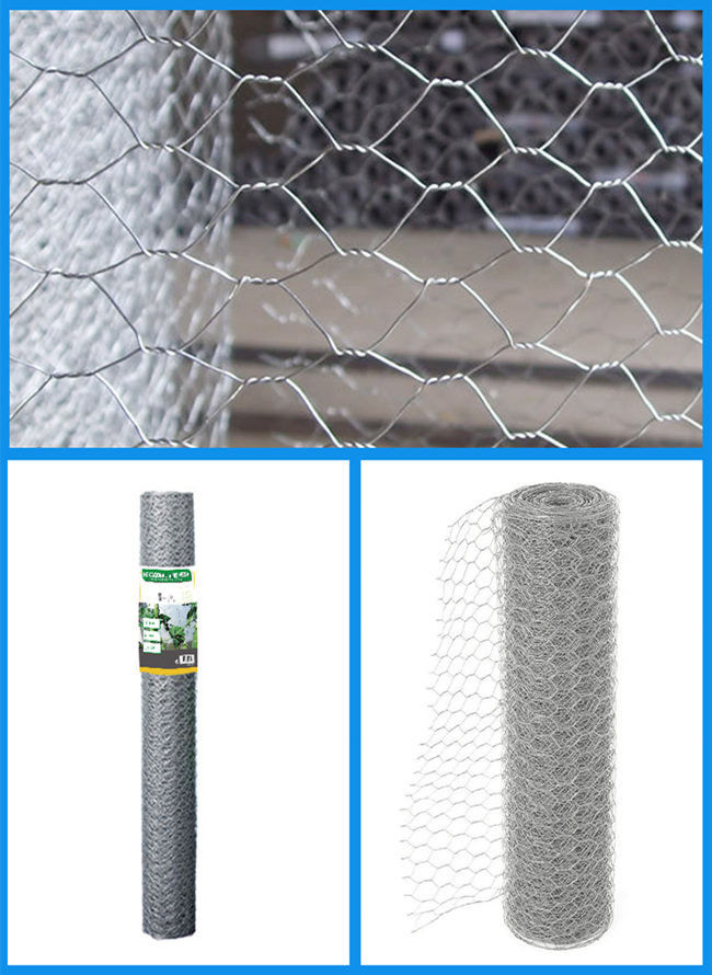 Oxidación anti pollo Mesh Fence Electro Galvanized BWG 25 los 0.5×25m de las aves de corral de 150 pies 0