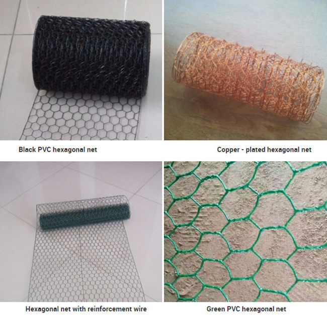 resbalón anti de la tela metálica del hex. de Mesh Fence SS304 del pollo de los 2.54cm 1