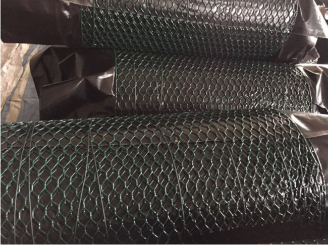 304 pollo de acero inoxidable Mesh Fence Hexagonal AISI EN10223 3