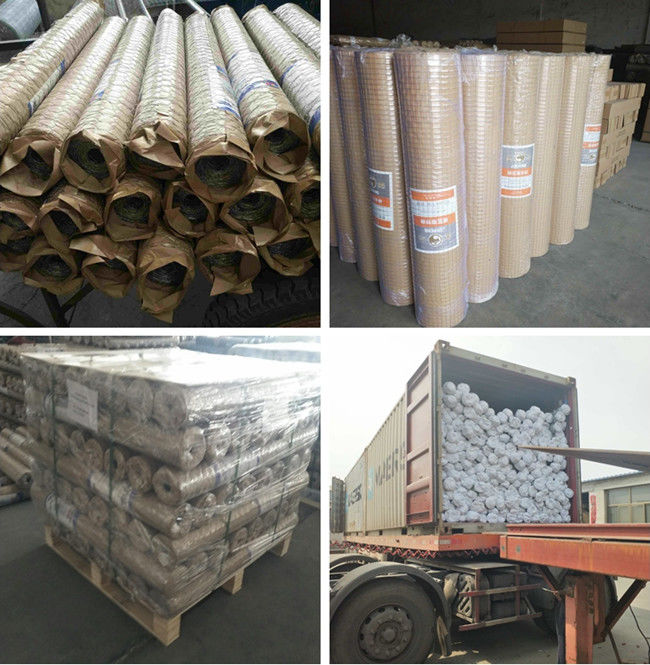 Oxidación anti pollo Mesh Fence Electro Galvanized BWG 25 los 0.5×25m de las aves de corral de 150 pies 2
