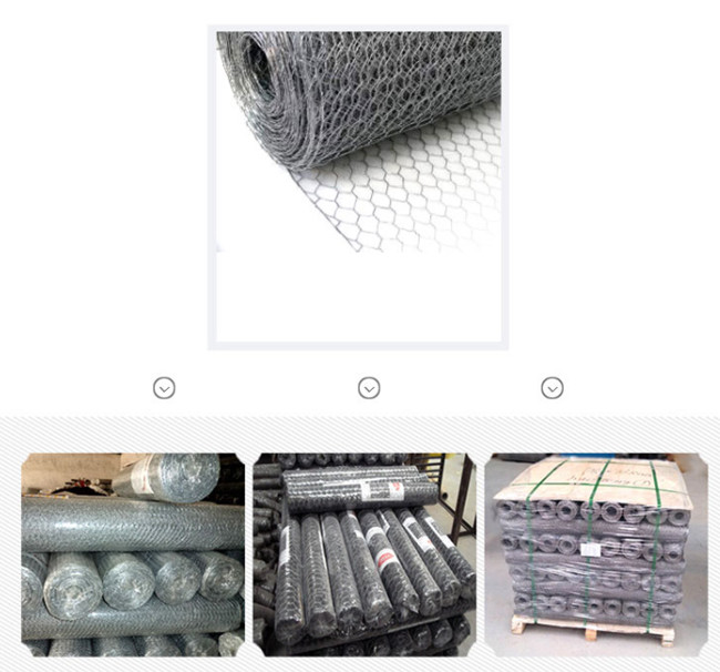 Alambre de pollo de la plata el 100ft de BWG 24 Mesh Fence Electro Galvanized Hexagonal 2