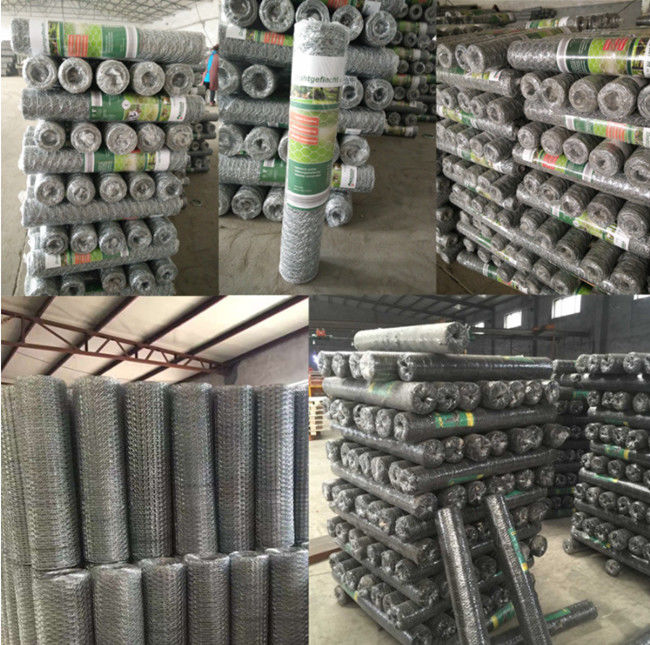 Red de alambre de Mesh Fence Electro Galvanized Hexagonal del pollo de 3/4 pulgada 19m m 2