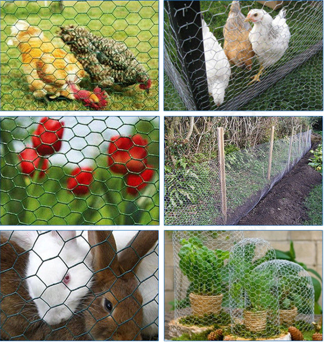 alto alambre de pollo galvanizado 0.42m m del 1.2m Mesh Fence For Rabbits Cage 1