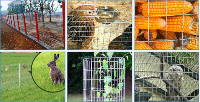 La soldadura Mesh Fence Panels Galvanized Pvc de 16 indicadores cubrió la perforación rectangular de los 3cm 1