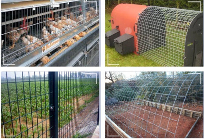 Alambre galvanizado Mesh Sheets Panels de la plata los 2×2in 2×4 BWG 13 2.11m m de alta resistencia 2