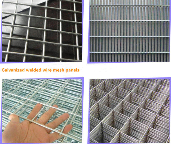 Alambre galvanizado Mesh Sheets Panels de la plata los 2×2in 2×4 BWG 13 2.11m m de alta resistencia 3