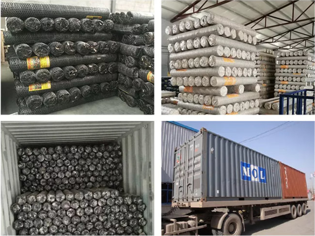 Alambre hexagonal galvanizado Mesh Netting For Feeding Chicken de BWG 12 y animales domésticos 2