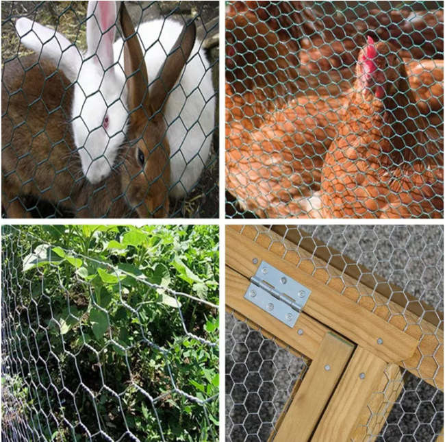 Malla de alambre hexagonal galvanizada de la tela metálica de pollo de la trampa de los pescados de la langosta del cangrejo 0